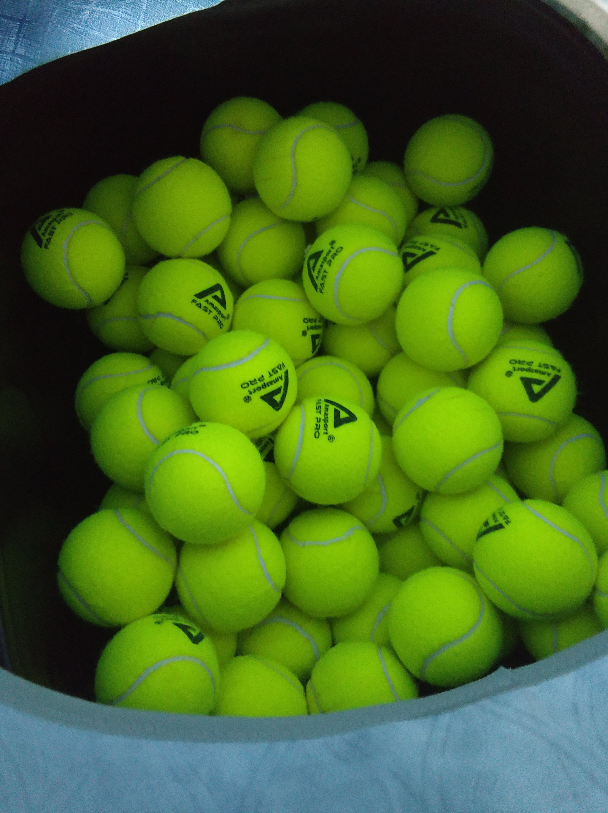 迷心生担忧 迷心生担忧