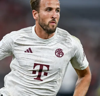 可能会成为 可能会成为