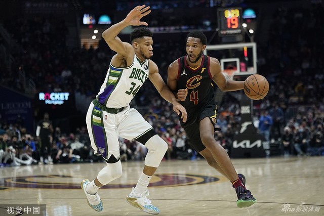 年轻核心的 年轻核心的